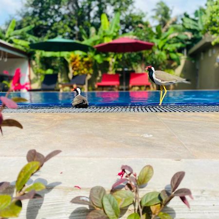 The Kingslayer Resort Negombo Esterno foto