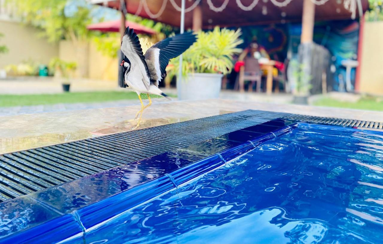 The Kingslayer Resort Negombo Esterno foto